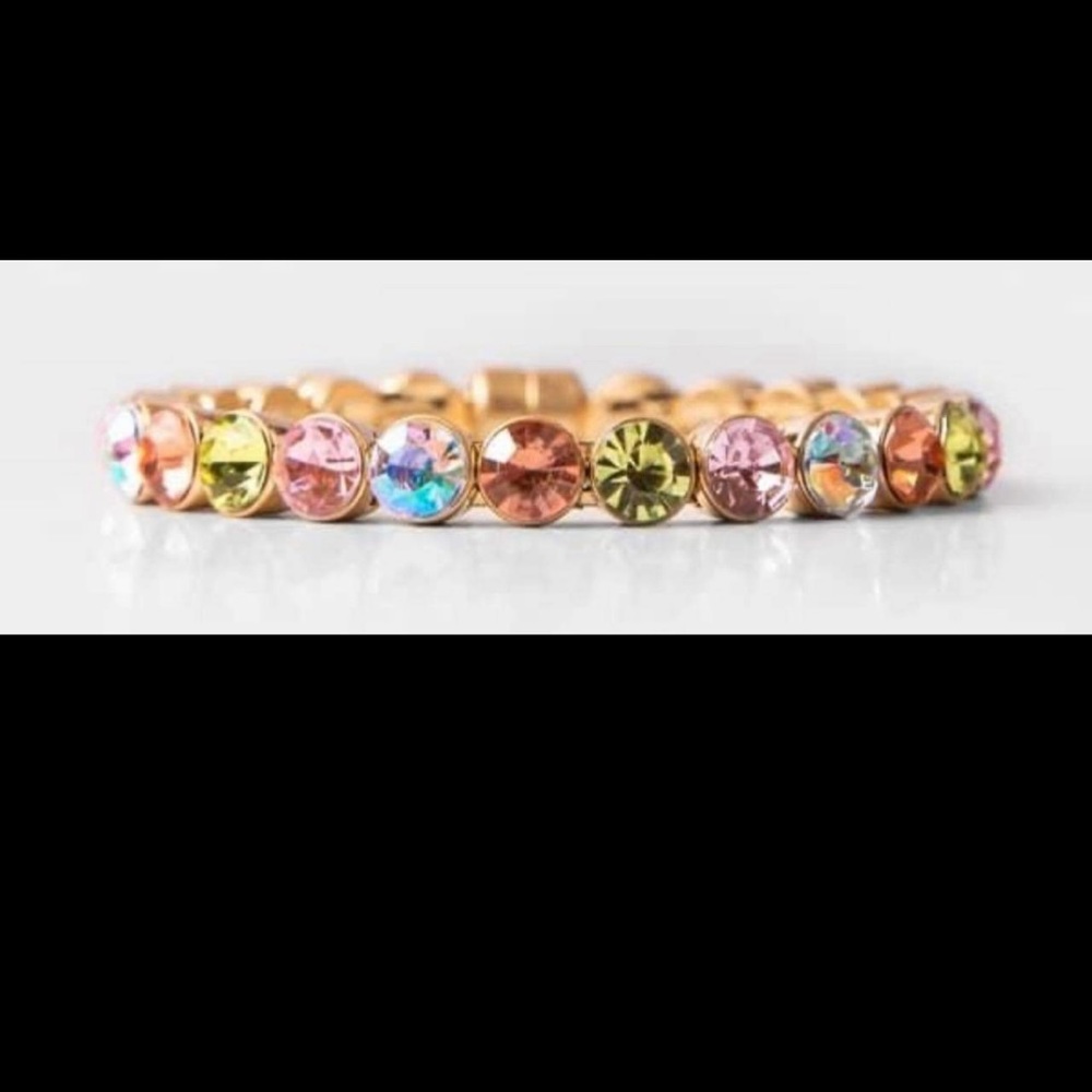 COPY - Plunder Design multi color with gold metal magnetic closure